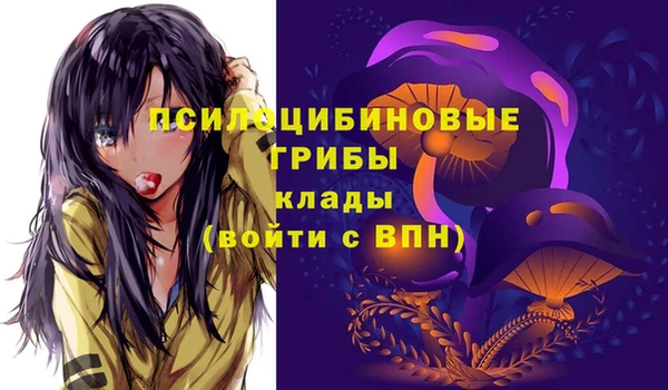 метадон Коряжма