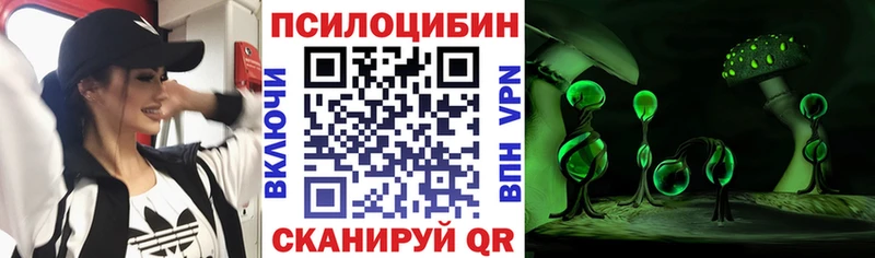 Галлюциногенные грибы Psilocybine cubensis  Купить закладки  Белоярский 